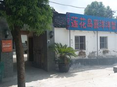 -喜洋洋蟹庄(阳澄湖店)