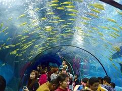 -福州罗源湾海洋世界旅游区
