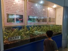 -上海昆虫博物馆