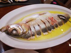 -鲁宴·鲁煨黄河生态大鲤鱼(月坛店)