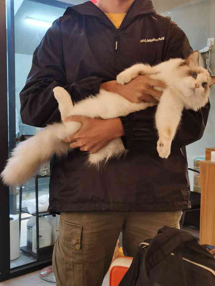 petkit小佩宠物(运河宸园店)-"【项目】洗澡带我胆小如鸡的猫儿子来