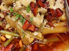 毛血旺-开海·红岛海鲜虾水饺(石老人店)