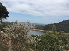 -广州市流溪河国家森林公园