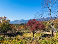 -塔川景区