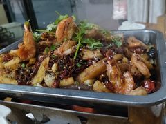 -铁山坪森林公园