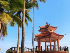 -东郊椰林
