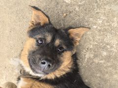 -百家园土菜馆(兴民北路店)