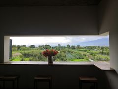 -翠田Green Field Kitchen
