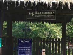 -西溪国家湿地公园