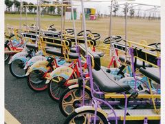 -春花秋色城市公园