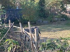 -苏州上方山国家森林公园