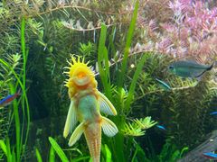 -上海海洋水族馆