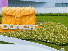 -COACH蔻驰(华润万象城店)