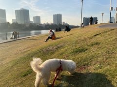 -美兰湖景区