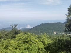 -武陵山森林公园