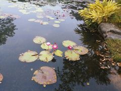 -云溪植物园