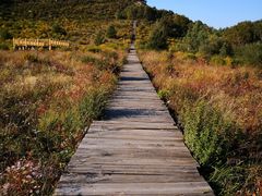 -白草畔自然风景区