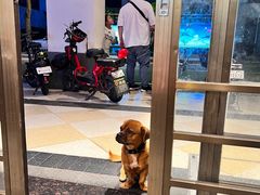 -恩宁刘福记(东华东路店)