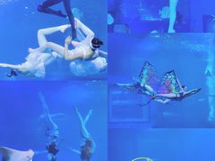 -正佳极地海洋世界
