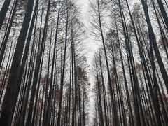 -山王坪喀斯特国家生态公园