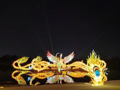 -武汉园博园(武汉自然博物馆)