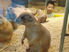 -Mr·Kuma酷么先生雪之乐园