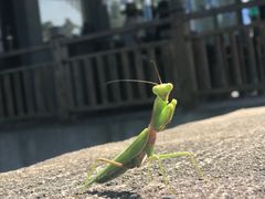 -夏霖九天银瀑风景区