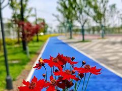-滴水湖