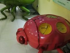 -上海昆虫博物馆