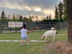 -前小桔亲子创意农场·草莓采摘·露营烧烤