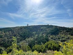 -原山国家森林公园