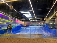 -INLANG饮浪室内冲浪(苏河湾万象天地店)
