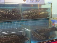 -江南鱼捞(北仑银泰城店)