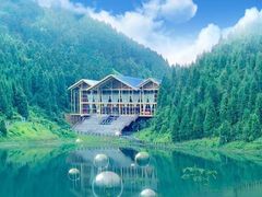 -武陵山森林公园