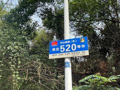 -青龙山国家森林公园