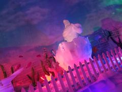 -世界之窗阿尔卑斯冰雪世界