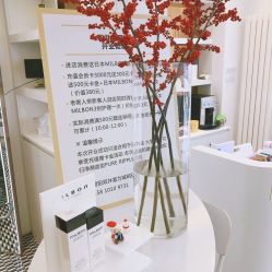 -净漪造型 PURE RIPPLE