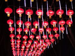-北戴河集发农业梦想王国