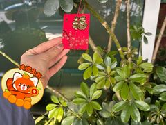 -福州长乐国际机场