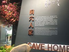 -柳州白莲洞洞穴科学博物馆