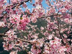 -梅州天地人花园酒店(梅县人民广场店)