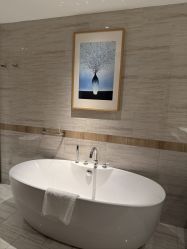 -巍阁月子中心(国贸店)