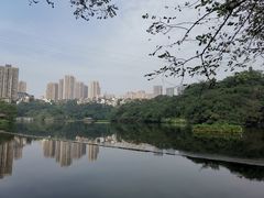 -重庆彩云湖湿地公园