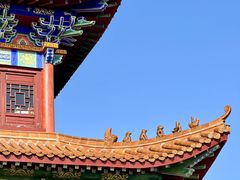 -长沙黑麋峰国家森林公园