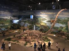 -自贡恐龙博物馆