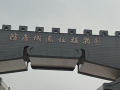 -洛阳市隋唐城遗址植物园