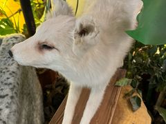 -中国天府农业博览园