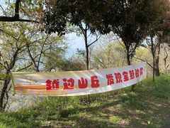 -千年银杏谷文化旅游区