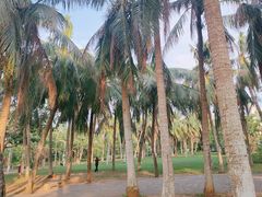 -白沙门生态公园