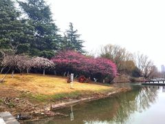 -白塘生态植物园